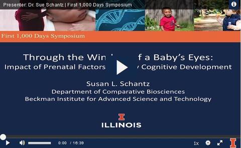 Through the Window of a Baby's Eyes: Impact of Prenatal Factors on Early Cognitive Development